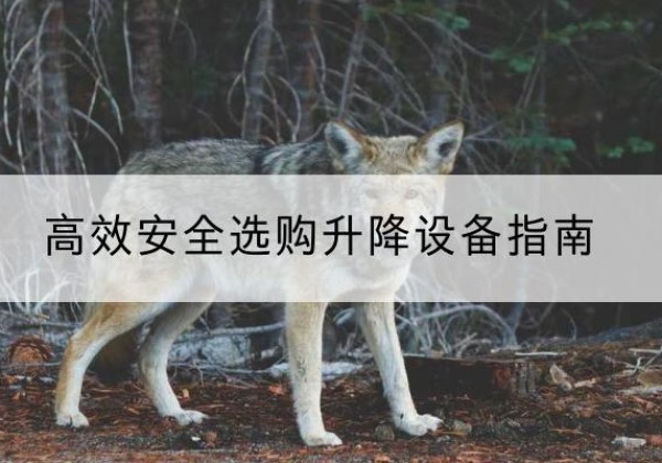 尉氏升降货梯厂家推荐-*安全选购升降设备指南
