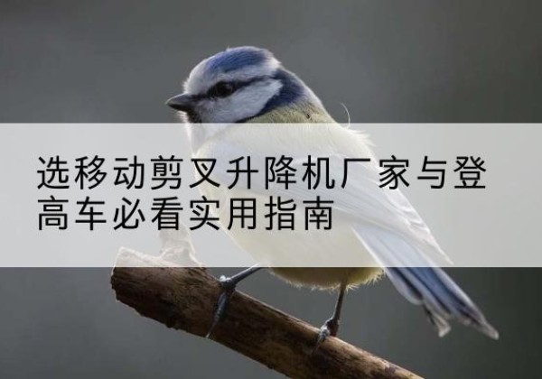 尉氏电动升降机厂家-选移动剪叉升降机厂家与登高车必看实用指南