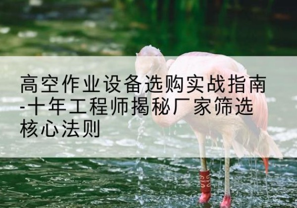 尉氏剪叉式升降机厂家-高空作业设备选购实战指南-十年工程师揭秘厂家筛选核心法则